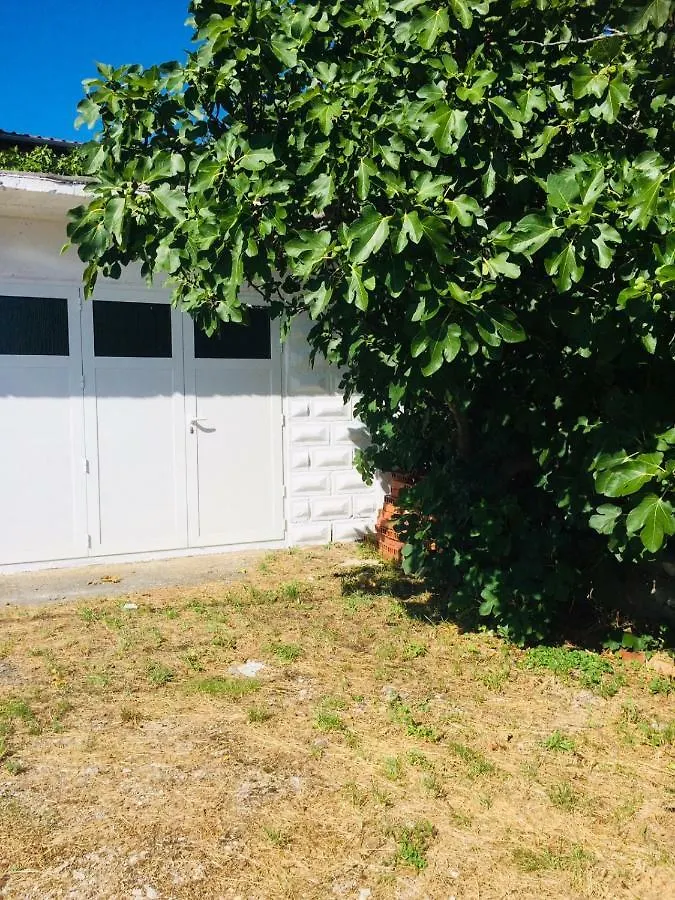 Apartment Perla - 150M From The Sea Novi Vinodolski 0*,  Croatia